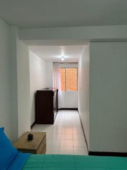 Espacioso apartamento en el corazón de Medellín, Medellín (photo 4)