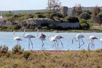 Salento Beach, San Pietro in Bevagna (fotografie 4)