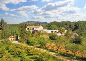 Spacious Apartment in San Pedro de Ribas with Shared Pool, Sant Pere de Ribes (photo 2)
