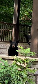 Brookside Lodge - Gatlinburg - On the River, Gatlinburg (Foto 5)