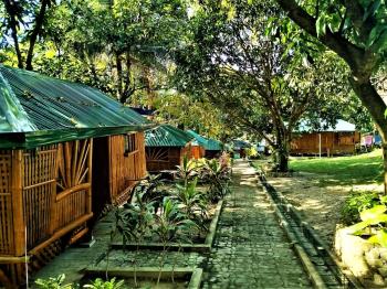 Rea's Bamboo Resort, Gabaldon (photo 5)