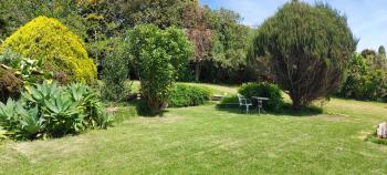 Sanctuary 4, Tauranga (foto 5)