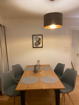 Comfort 1 and 2BDR Apartment close to Zurich Airport, Curych (fotografie 5)