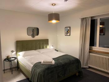 Comfort 1 and 2BDR Apartment close to Zurich Airport, Curych (fotografie 2)