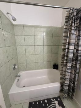 Flowers Apt 5 Min Walk to Downtown - Free Parking, Las Vegas (photo 4)