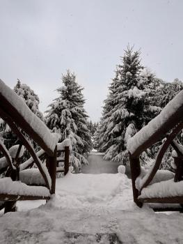 Ранчо в Карпатах, Bukovel (foto 5)
