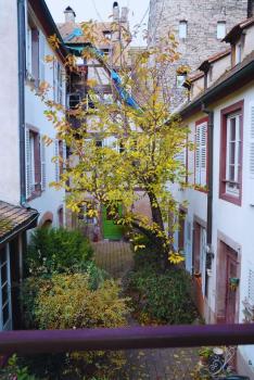 Appartement typique Alsacien, Strasbourg (photo 5)
