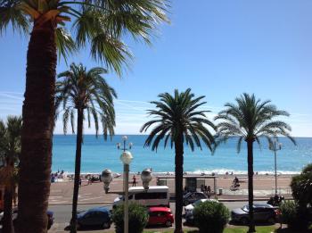 Le Grand Sud, Nizza (foto 2)