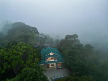 Pine Escape By Cluster Cloud, Pīrmed (фото 3)