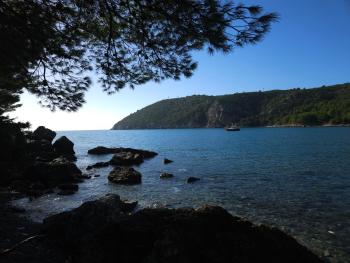 Montebar1, Bar (foto 3)