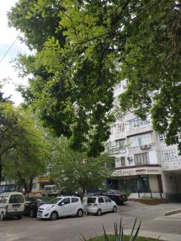 светлая уютная квартира в центре Ташкента, Amir-Ravat (zdjęcie 5)