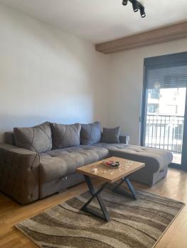 New, complete equipped apartment with Spa, indoor pool and parking place, Čajetina (photo 5)