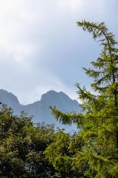 Apartments on Krupówki Street with Mountain View by Noclegi Renters, Zakopane (photo 3)