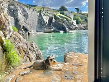 Seafront Cottage - Beach Access - Pet Friendly, Plymouth (foto 5)