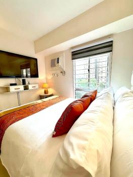 Avida Condo near NAIA, Manila (photo 4)