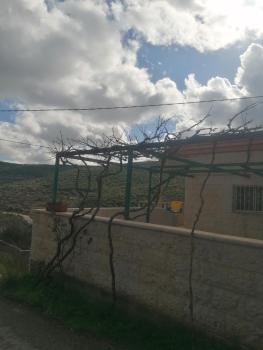 ريف عجلون, Ajlun (foto 5)