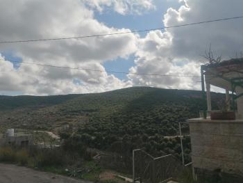 ريف عجلون, Ajlun (foto 4)