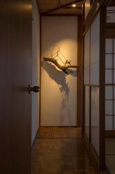 Sheena To Ippei, Tokio (fotografie 2)