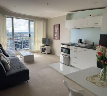 aura 2 bedrooms 1 living room balcony goodView swiming pool, gym, Auckland (fotografie 3)