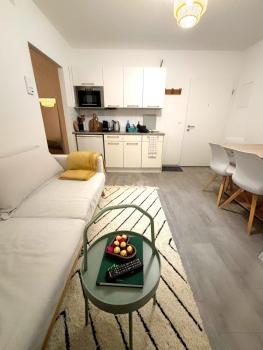 Top Apartment in Center of Zurich, Curych (fotografie 5)