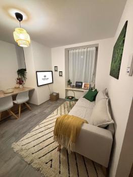 Top Apartment in Center of Zurich, Curych (fotografie 4)