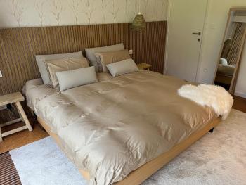 Ardilla - holiday house in an oasis of green, Heusden - Zolder (fotografie 4)