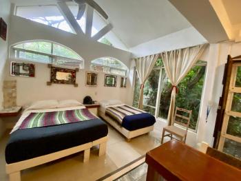 Casa del Arquitecto, Cancún (photo 4)