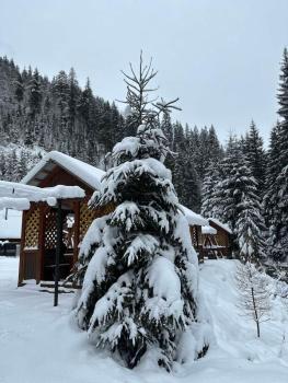 Під озером Синевир, Synewyrska Poljana (Foto 3)