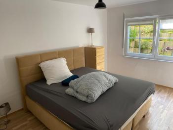 Big, cozy Villa nature Pool, Kelkheim (photo 4)