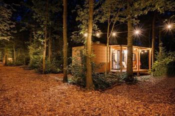 Forest Cabin in the woods, Holten (fotografie 2)