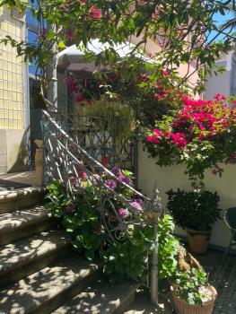 Vila Camélia, Porto (zdjęcie 2)