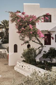 Vedema, a Luxury Collection Resort, Santorini, Megalokhori (photo 3)