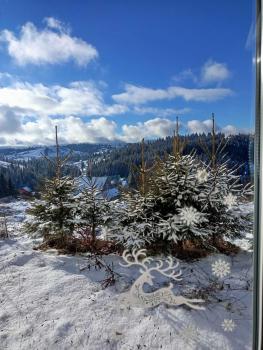 Котеджі Зоряне Небо, Bukowel (Foto 4)