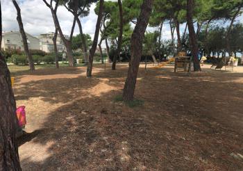 Al Mare, Pineto (foto 2)
