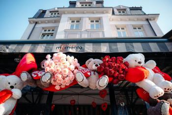 Hotel Splendid, Pleven (foto 4)