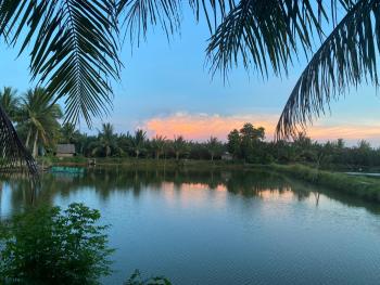 Laoxao Lakeview Homestay, Hội An (Foto 4)