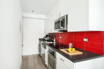 809-2A Gorgeous 1BR New W D Modern Best Location, New York (fotografie 2)