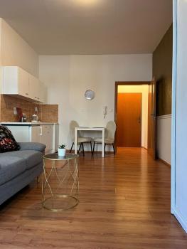 Butique Apartment in the city center, Bratislava (fotografie 2)