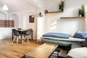 Gewölbewohnung mit Terrasse, Drážďany (fotografie 3)