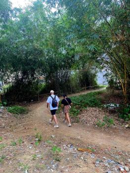 Blue Tropical House Hội An, Hội An (Foto 4)