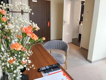 Xerion Hotel, Cracovia (foto 3)
