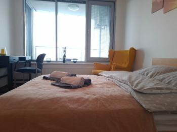 A Zen Getaway with garage parking, Bratislava (fotografie 5)