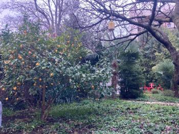 Un jardin en ville, Тулуза (фото 3)