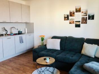 Comfortable City Appartement, Drážďany (fotografie 3)