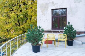 Bright&Cozy Flat with Terrace, Riga (foto 4)