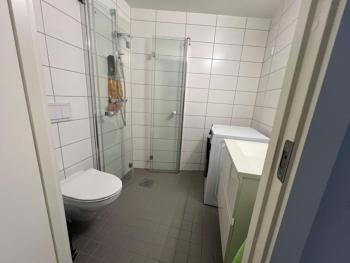 Bjørvika Studio Apartment, Oslo (foto 5)