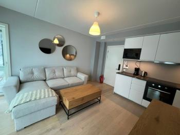 Bjørvika Studio Apartment, Oslo (foto 2)