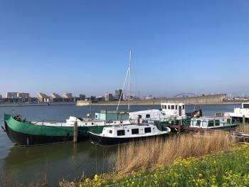 Floating B&B Amsterdam, Amsterdam (photo 3)