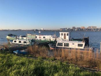 Floating B&B Amsterdam, Amsterdam (photo 2)
