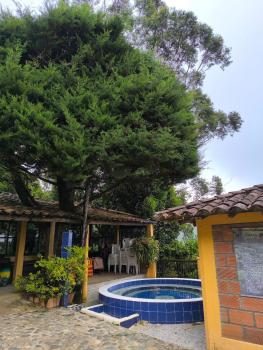 Montaña Sanadora, Medellín (photo 2)